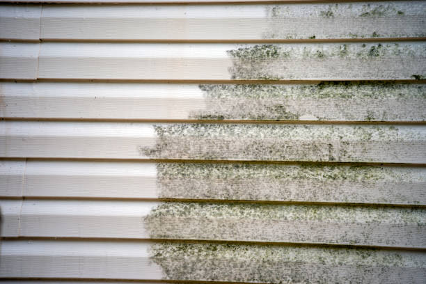 Siding for Multi-Family Homes in Estelle, LA
